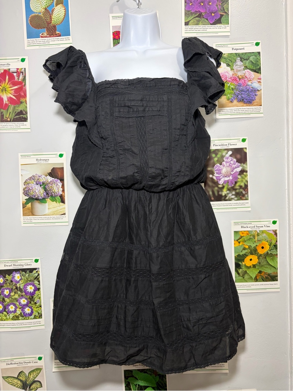 Abercrombie & Fitch Black Ruffle-Sleeve Mini Dress